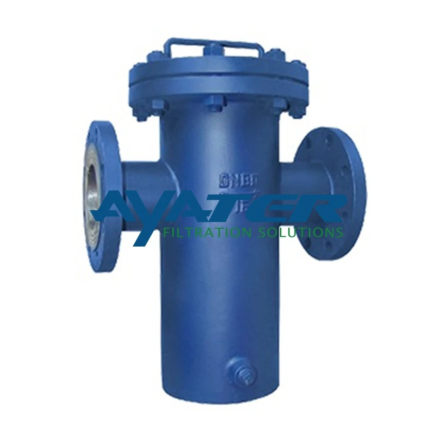 Basket Type Strainer